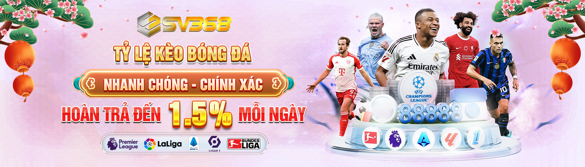 1736846560121 6 HOAN TRA BONG DA PC