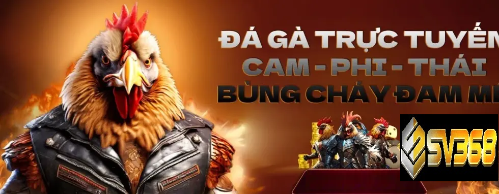 Hướng dẫn cách chơi đá gà SV368 từ A-Z cho người mới 2 Hướng dẫn cách chơi đá gà SV368 từng bước chi tiết