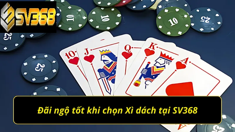 Hướng dẫn chơi Xì dách SV368 chi tiết cho người mới 2 Đãi ngộ tốt khi chọn chơi xì dách tại SV368