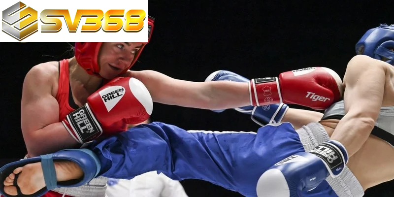 Boxing King SV368 game đấm bốc online hấp dẫn 5 Các bước cần thực hiện để tham gia trải nghiệm cược Boxing King đơn giản