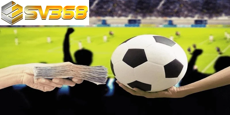 Luật cá cược bóng đá SV368 chi tiết mới cho bet thủ 3 Luật cá cược bóng đá SV368 chi tiết